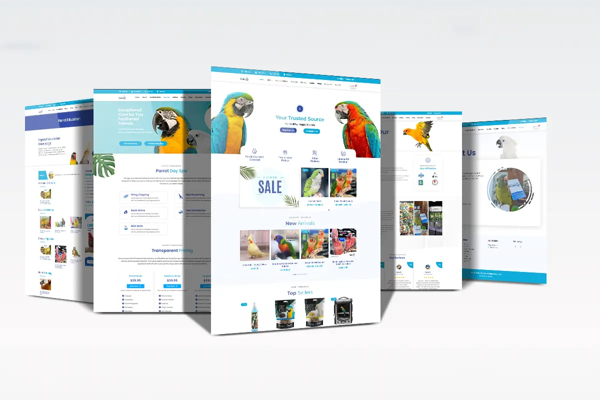 SEO Services 6 How Dallas Parrots Became the #1 Parrot Store in America